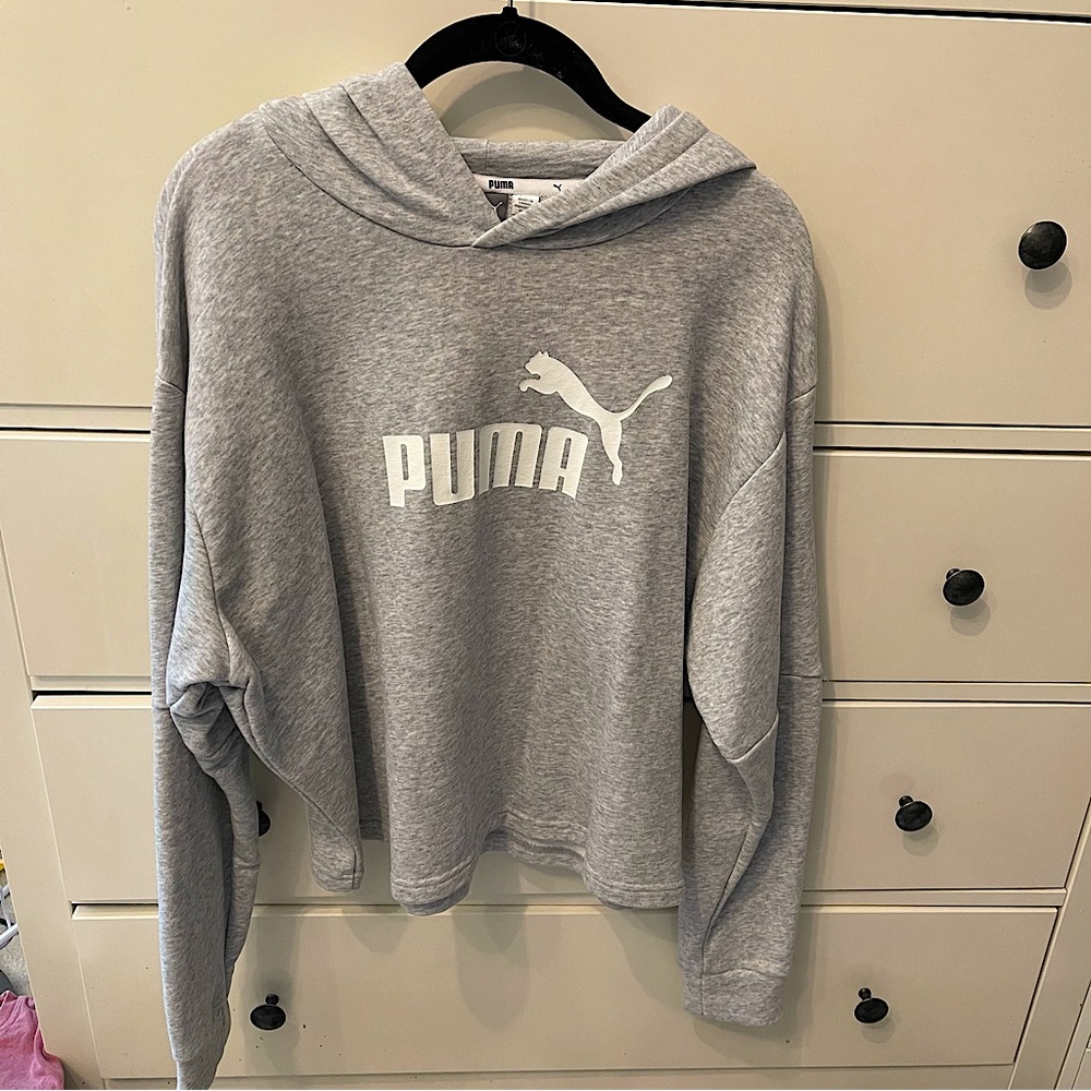 Puma Gray Logo Hoodie